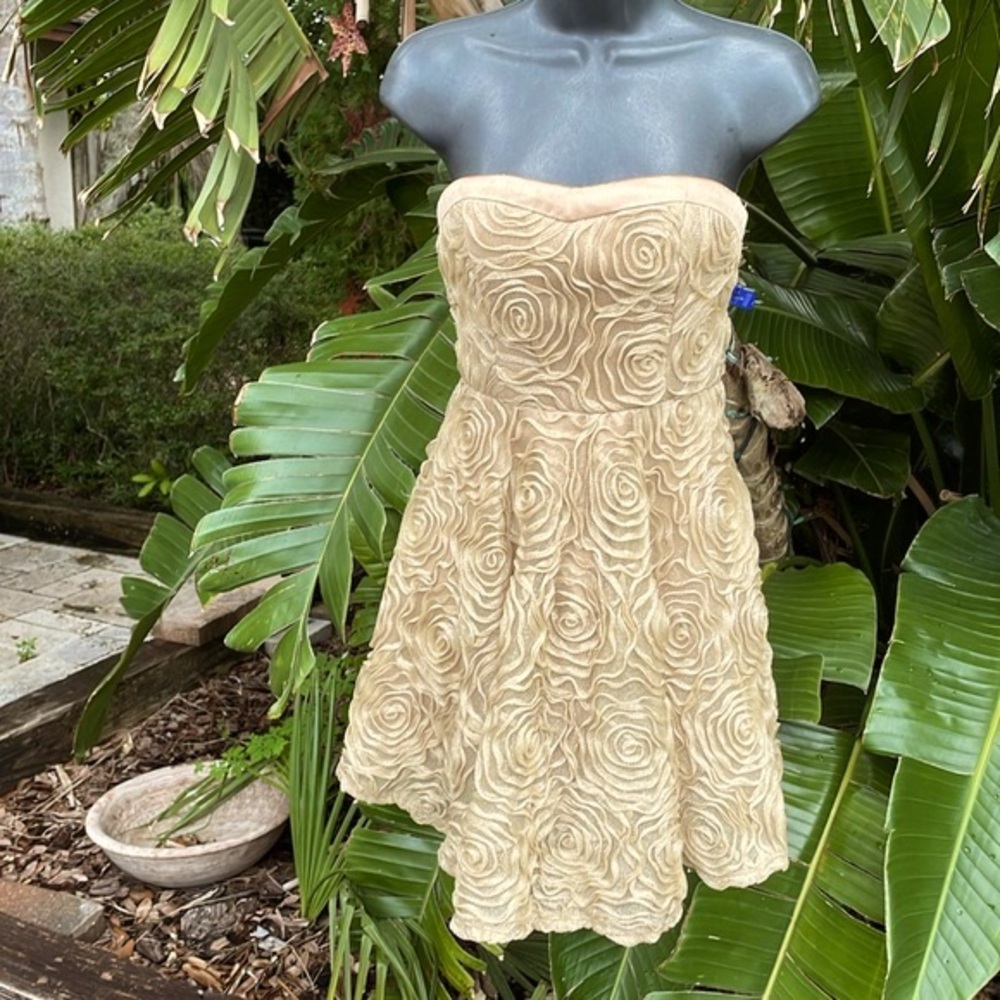 Vera Wang strapless metallic champagne dress with soutache rosettes